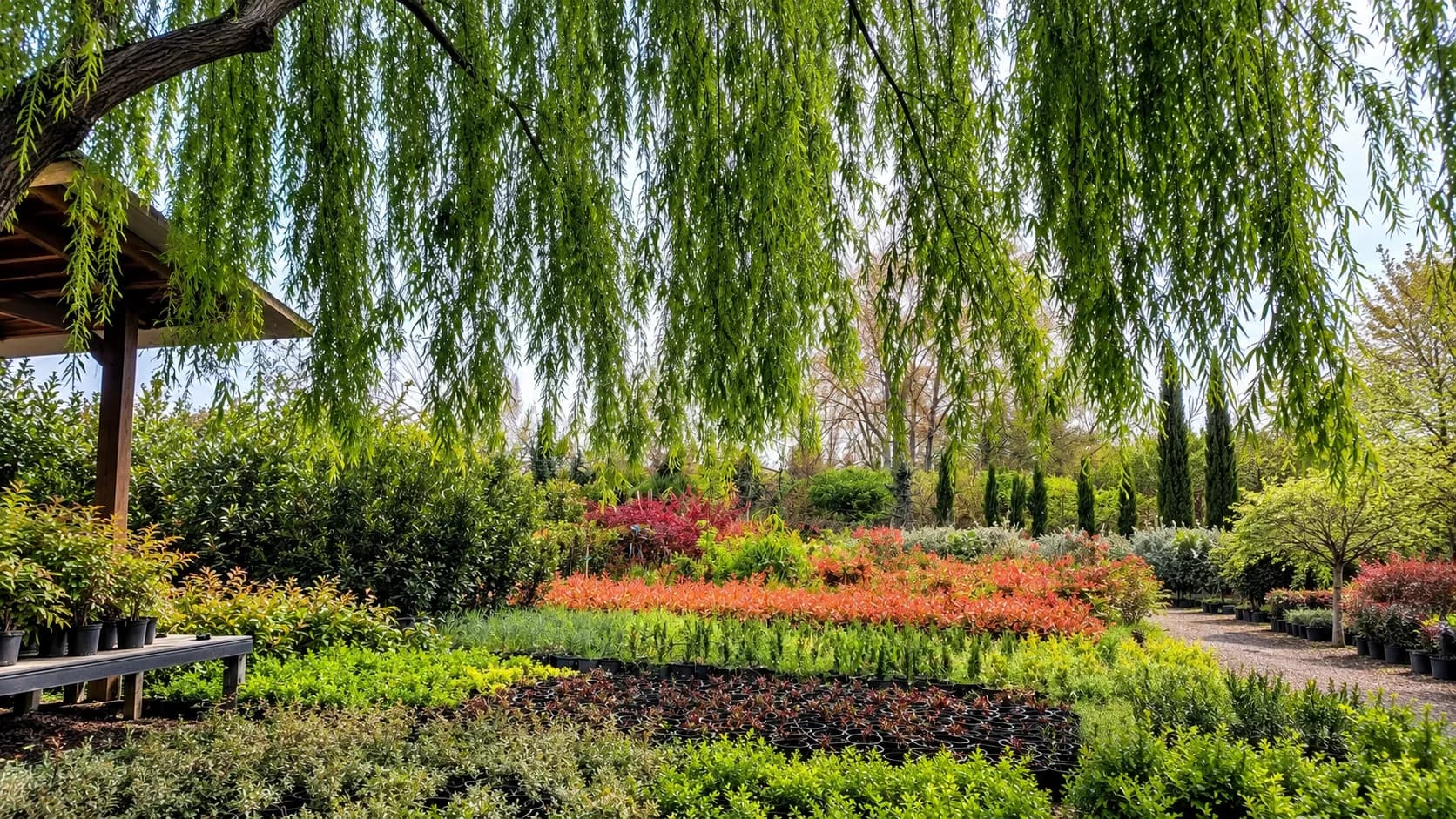 Üretim serası Tahtalı